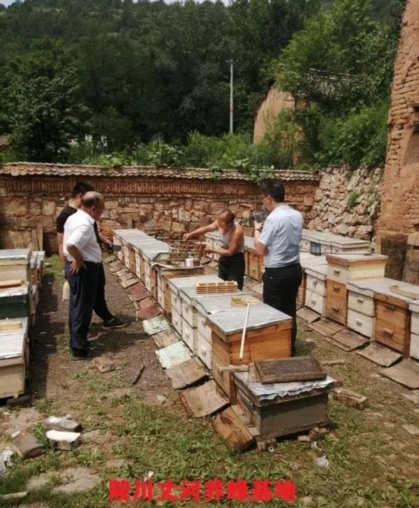 1749696027998290.png 1749696027998290.png